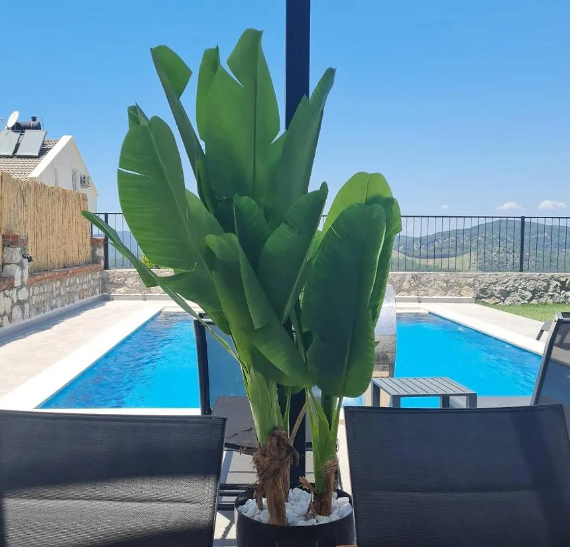 Vip Villa Kleopatra Oludeniz 0*,  Turkey